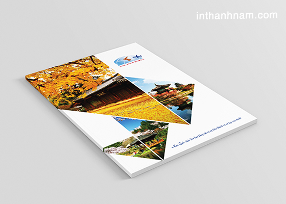 In Catalogue giá rẻ In Catalogue giá rẻ